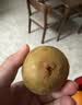 佳沛（zespri）新西兰阳光金奇异果18粒礼盒优选果单果103-124g 猕猴桃水果礼盒 实拍图