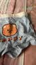 棉奇熊男童内裤儿童棉a类平角裤小男孩四角短裤小童长绒棉男宝宝中大童 实拍图