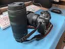 佳能（Canon）RF 100-400mm F5.6-8 IS USM 超远摄变焦镜头【滤镜防护套装】 实拍图