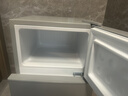 新飞冰箱小型租房用 一级能效冷 藏冷冻两用1-2人家用小冰箱 出租房双门电冰箱办公室两门 26年升级 76A一级能效【保鲜盒款】银 实拍图