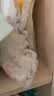 十月结晶婴儿连体衣爬服夏季新生儿宝宝衣服男女童四季长袖纯棉A类 实拍图