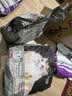亿迪猫粮冻干幼猫成猫10斤全价英短蓝猫布偶老年猫国产通用全阶段5kg 实拍图