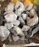 华味亨陈皮葡萄梅子220g/罐话梅三层梅夹葡萄混合蜜饯果干休闲零食 实拍图