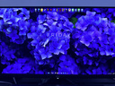 AOC 27英寸4K165Hz Gen.3五层堆叠QD-OLED 第五代BlackAGLR涂层 抗反射抗眩光更黑 电竞显示器U27G4D 实拍图