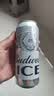 百威冰啤酒500ml*18听整箱装【99%好评】京东自营 实拍图