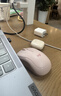罗技（Logitech）M221轻音鼠标 无线鼠标 办公鼠标 对称鼠标 带无线微型接收器 茱萸粉 实拍图