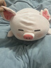 名创优品（MINISO）小猪B-BO弹力超柔趴姿公仔毛绒玩偶儿童玩具抱枕靠枕生日礼物女 实拍图