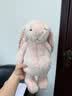 Jellycat害羞乳白色邦尼兔动物毛绒玩偶安抚玩偶娃娃送礼七夕情人节礼物 花布胭脂粉色邦尼兔（彻蕊） Medium 实拍图