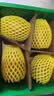 佳沛（zespri）新西兰阳光金果4粒装单果约103-114g 猕猴桃新鲜水果源头直发 实拍图