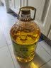 金龙鱼 食用油 非转基因 物理压榨玉米油6.18L（蕴含植物甾醇） 实拍图
