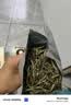 七春2026君山银针黄茶岳阳特产茗茶新茶自己喝送礼茶叶礼盒200g 实拍图