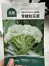 北蔬青梗花菜种子苗散花菜花椰菜庭院大田蔬菜籽 青梗松花菜种子200粒 实拍图