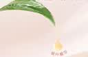 好奇（Huggies）铂金装小桃裤纸尿裤NB84片(5kg以下)尿不湿【夏季散热王】 实拍图