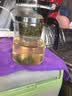 飘逸壶泡茶壶耐热高温玻璃沏茶过滤内胆冲茶器家用茶具套装 飘逸杯500mL1个 实拍图