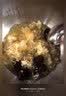 富昌古田银耳 糯耳250g（凉水泡发）白木耳丑耳莲子百合银耳羹食材 实拍图