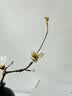 京东鲜花中式复古风黑色陶瓷花瓶客厅桌面茶几仿真玉兰花装饰摆件禅意插花 实拍图