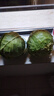 山东新鲜甘蓝包菜卷心菜圆白菜新鲜嫩绿莲花白现摘现发早餐减脂 新鲜包菜 4.6斤净重 人工挑拣 实拍图