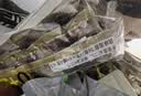 清净园韩国进口 橄榄油传统海苔 儿童零食紫菜片 海苔脆 拌饭36g*2袋 实拍图