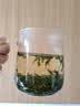 八窨飘雪茶叶绿茶毛尖 2026新茶特级浓香型 明前春茶自己喝四川高山茶125g 实拍图