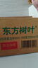 农夫山泉东方树叶红茶500ml*15瓶无糖茶饮料0糖0脂0卡整箱装解渴饮品 实拍图