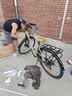 邦德·富士达蝴蝶把自行车男女铝合金公路车禧玛诺变速城市通勤长途通勤旅行车 线碟 钛合金银 实拍图