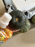 京鲜生安徽南瓜组合 净9斤 贝贝南瓜+板栗南瓜各4.5斤 爆粉 源头直发 实拍图