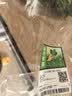 应季新土豆约1kg 实拍图