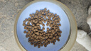 力狼（LILANG）鲜肉猫粮深海三文鱼磷虾成猫幼猫通用型美毛护胃全价猫粮10kg 实拍图