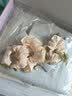 夏季清爽海洋系列发夹可爱小鱼干小海豚刘海夹侧边夹发饰夹子ins 鱼系列:图片款八只装 实拍图
