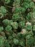搏仕德（Boshide）骑行墨镜防护男款登山眼镜滑雪镜自行车护目眼镜女户外黑框白水银 实拍图