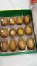 佳沛（zespri）新西兰 阳光金奇异果12粒特大果单果124-146g 猕猴桃水果礼盒 实拍图