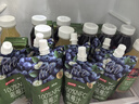京东京造 100%NFC蓝莓汁180g*10精制礼盒0脂0添加糖纯果汁花青素 实拍图