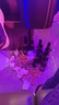 超级波克（SUPER BOCK）经典黄啤酒 进口啤酒  250ml*24瓶 聚会烧烤送礼整箱装葡萄牙原装 实拍图