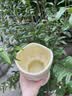 范爷家北欧ins风陶瓷花瓶插花摆件家居花瓶乔迁卧室客厅玄关民宿装饰 实拍图