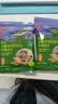 悠采中粮无糖奇亚籽混合冲调燕麦片360g（30g*12袋）高纤高蛋白代餐 实拍图