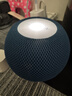 Apple/苹果 HomePod mini 智能音响蓝牙音箱-蓝色 苹果音响音箱智能家居中枢wifi连接 实拍图