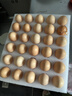 无抗鲜鸡蛋 谷物喂养鲜鸡蛋 50±5克/枚 早餐食材 蛋香味十足 30枚装 实拍图