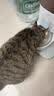 霍曼（Homerun）Real智能自动喂食器猫粮定时猫猫咪自动投食机PF20（不锈钢碗） 实拍图