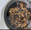 金唐榛蘑250g 东北野生榛菇 山珍菌菇干货 小鸡炖蘑菇火锅煲汤食材 实拍图