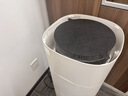 东芝（TOSHIBA）加湿器空气净化器无雾加湿净化一体机除花粉过敏源除醛除菌除敏母婴消毒杀菌大白梨Pro 实拍图