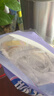 妙洁 保鲜罩 300只 一次性食品级保鲜膜套 强韧不易破 餐具高适配 实拍图