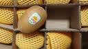 佳沛（zespri）新西兰阳光金奇异果16粒礼盒经典果单果 88-103g  猕猴桃水果礼盒 实拍图