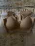 ubras虞书欣同款无尺码升级小奶皮背心式内衣女无痕无钢圈透气隐形文胸 实拍图