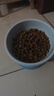 乐优派猫碗陶瓷狗碗猫食盆狗盆宠物碗猫粮碗高脚防打翻猫咪用品 渐变蓝 实拍图