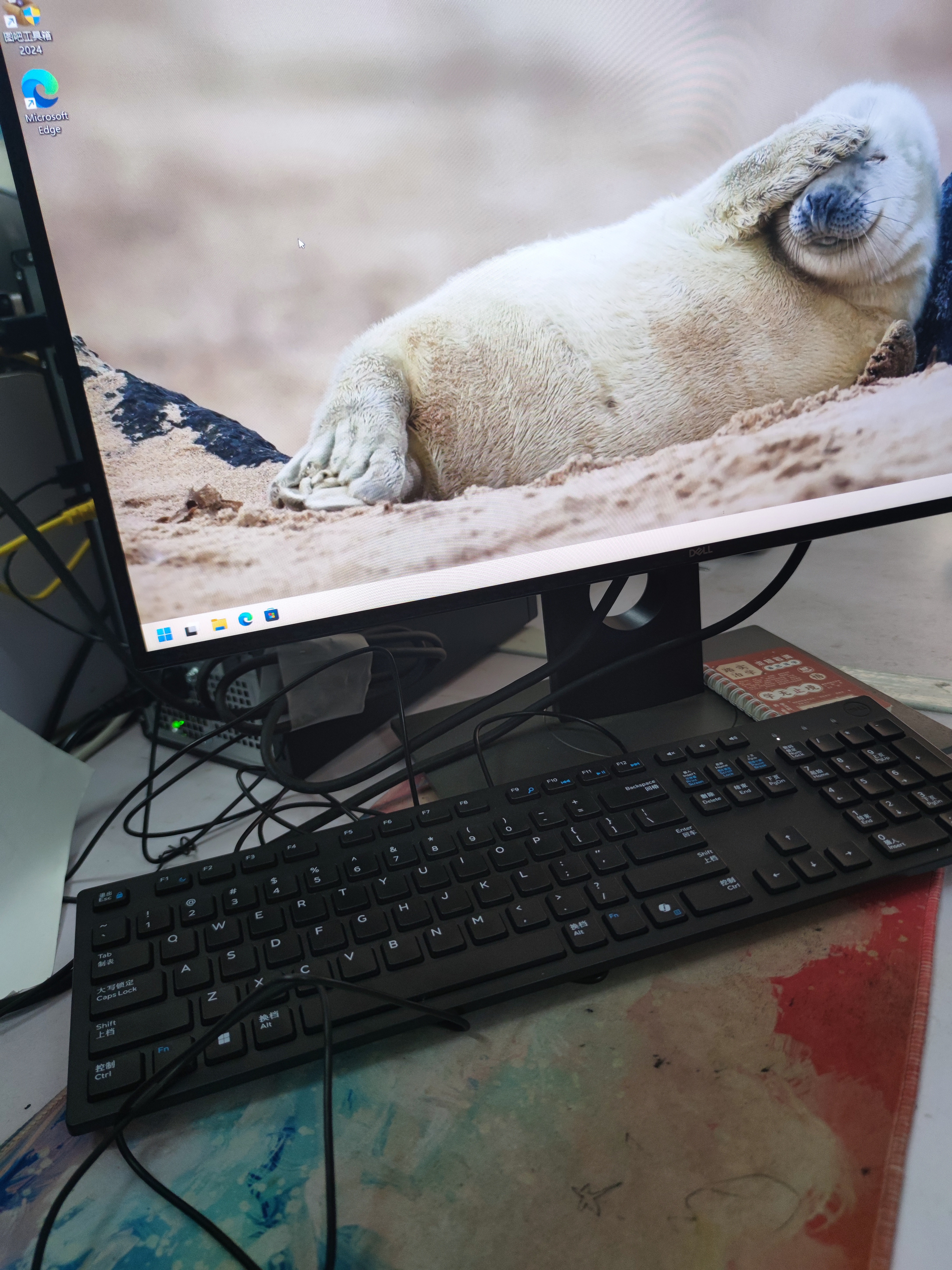 戴尔（DELL）Pro台式机高性能商用办公电脑QCT1250(i3-14100 8G 512G固态 标配) 实拍图