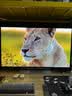 LG电视G6系列 48英寸OLED游戏电视 165Hz高刷 4K超高清专业电竞显示器OLED48G6PCA 实拍图