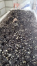 星宸花草博士营养土养花通用型种花种菜育苗专用土种植花土泥炭有机轻质土10L 实拍图