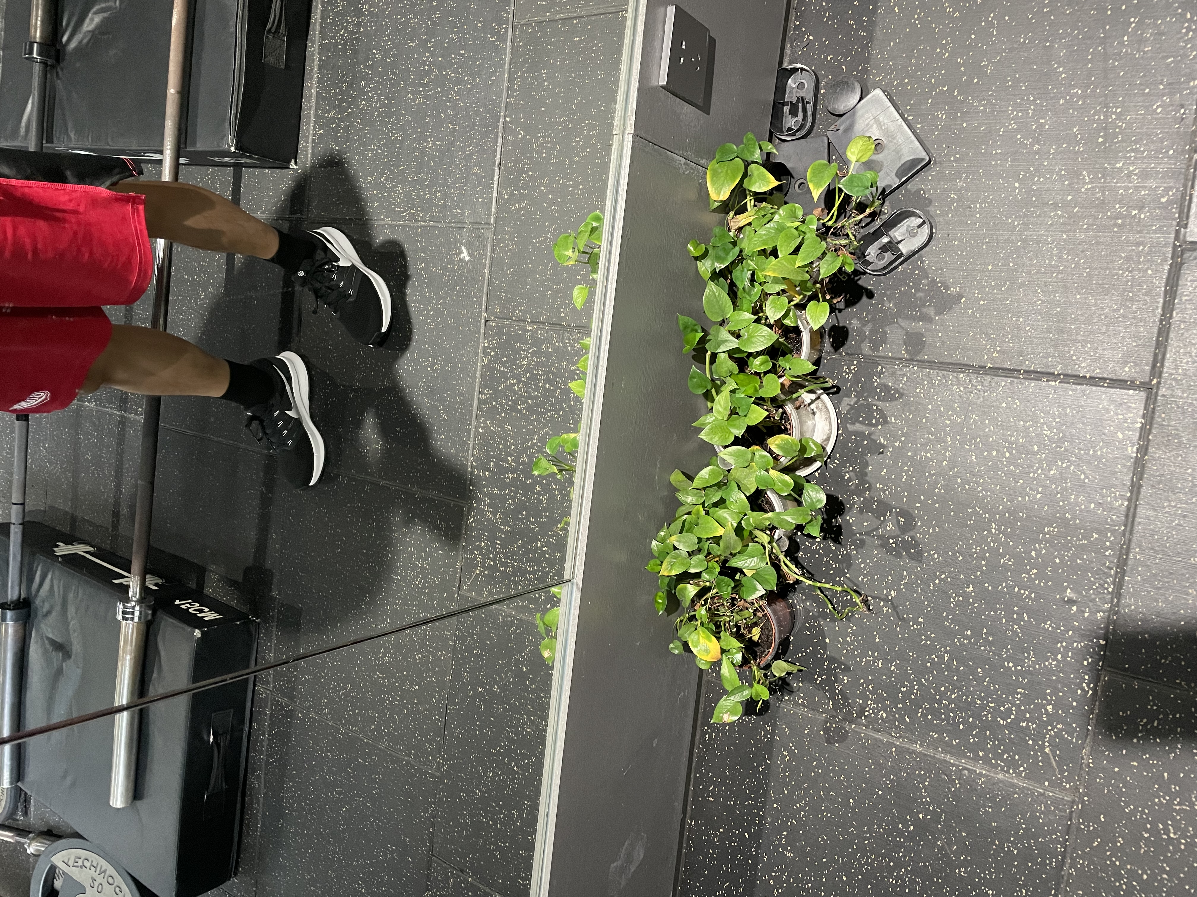 耐克男子透气公路专业跑步鞋夏季缓震NIKE RUN SWIFT 3 DR2695 002黑/白色/暗烟灰 42 实拍图