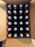福佳玫瑰红果味啤酒精酿啤酒248ml*24瓶整箱装比利时京东自营七夕送礼 实拍图