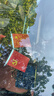 迪加伦五星红旗汽车摆件车载用国旗党旗办公室会议室桌旗车内装饰摆件 实拍图